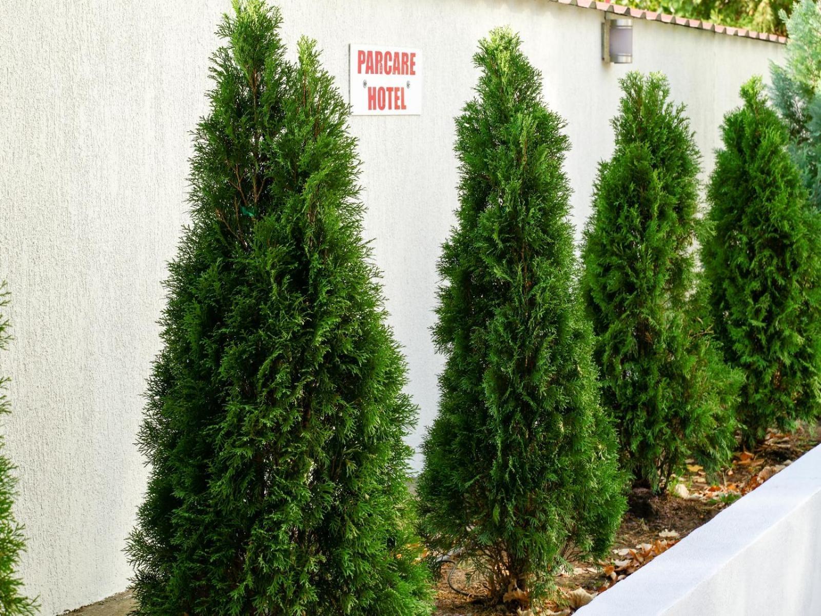 Hotel Criss ブカレスト エクステリア 写真